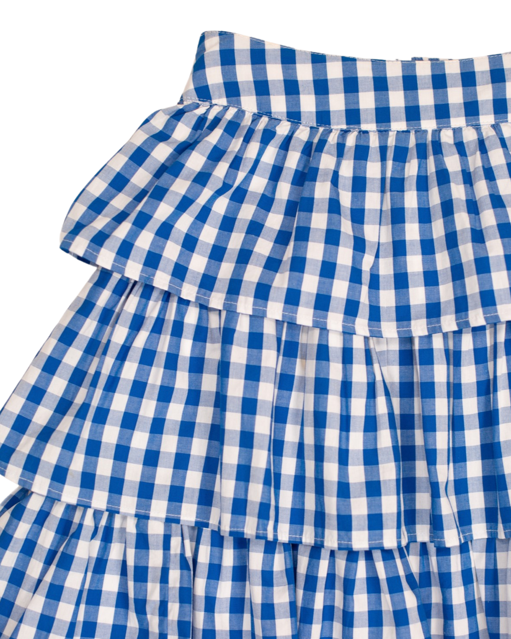 Blue shop gingham skirt